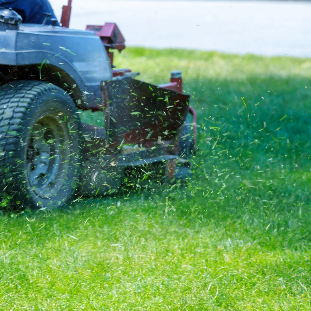 mow2 mow2 jpg