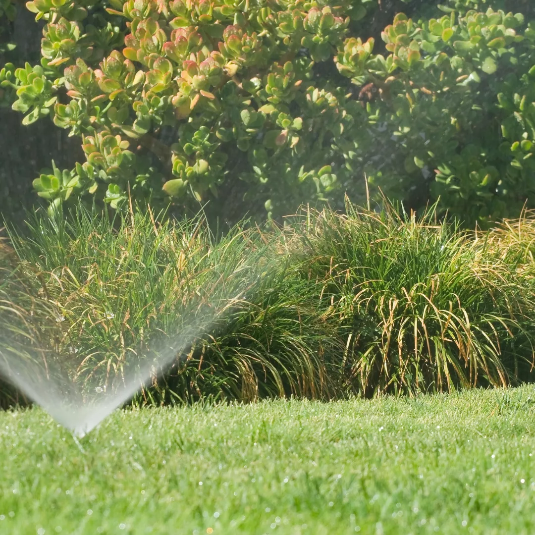 sprinkler2 sprinkler2 jpg