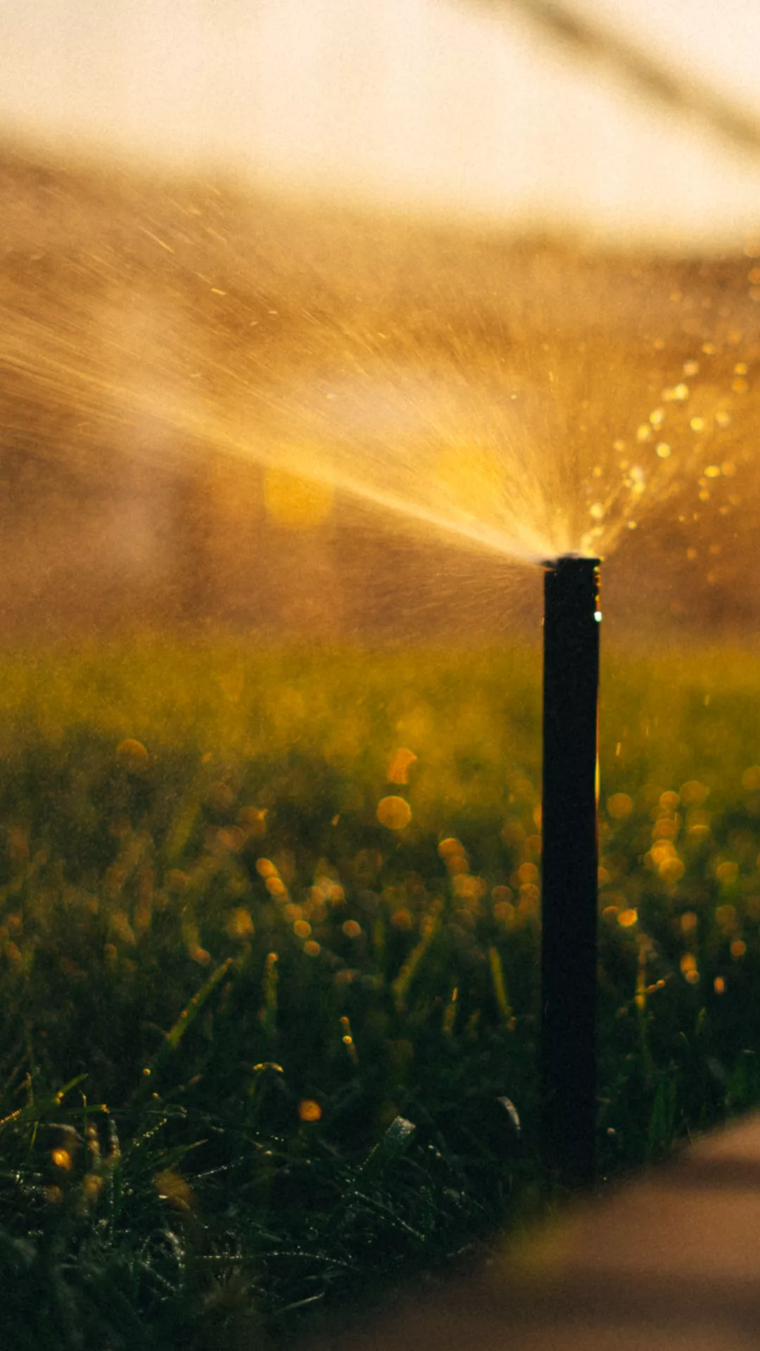 sprinkler5 sprinkler5 jpg