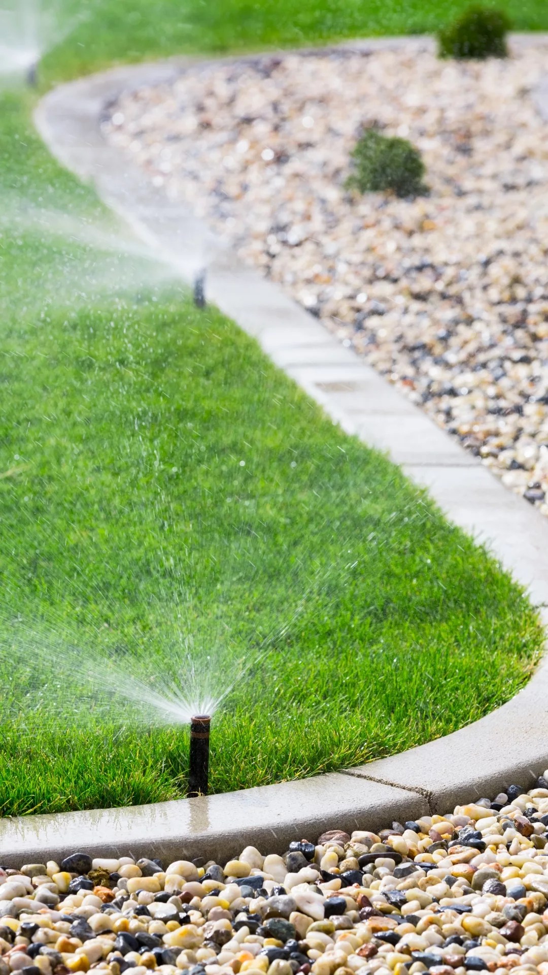 sprinkler7 sprinkler7 jpg