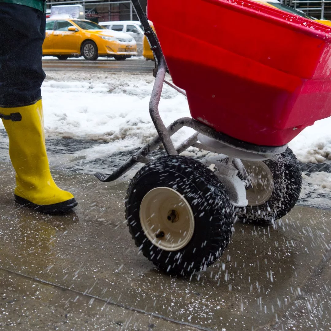 salting sidewalk salting sidewalk